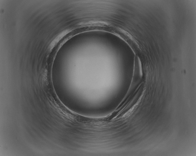 X0000073861066200608170937