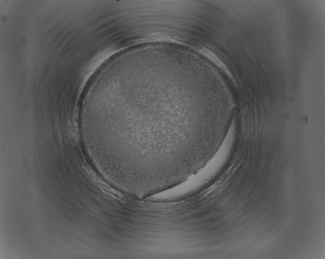 X0000073861068200608170937