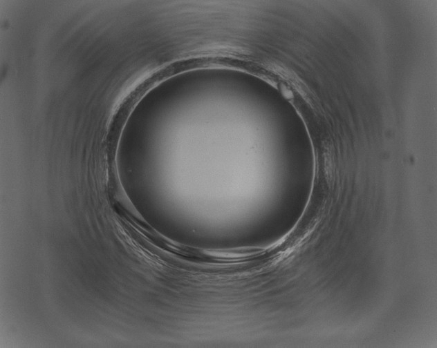 X0000073861069200608170936