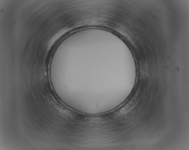 X0000073861070200608170936