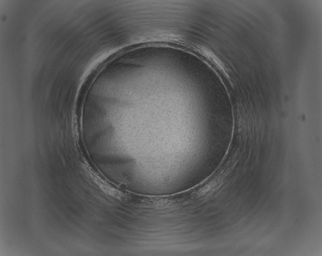 X0000073861072200608170936