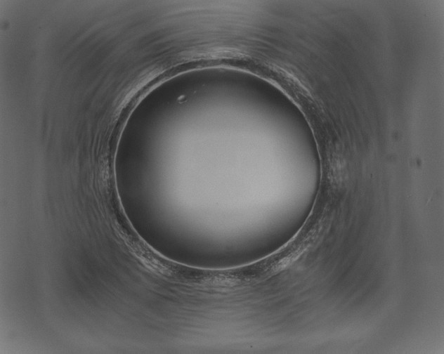 X0000073861073200608170936