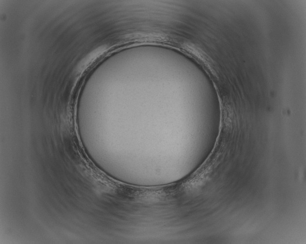 X0000073861074200608170936