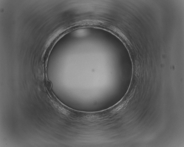 X0000073861075200608170936