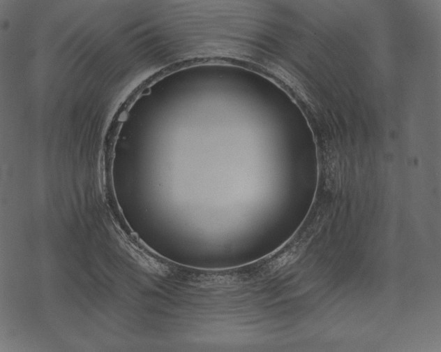 X0000073861076200608170936