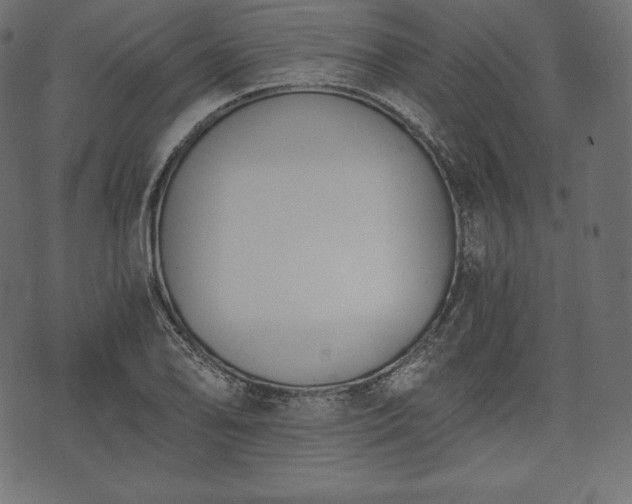 X0000073861078200608170936