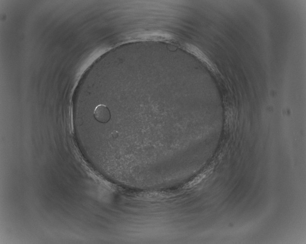 X0000073861079200608170936