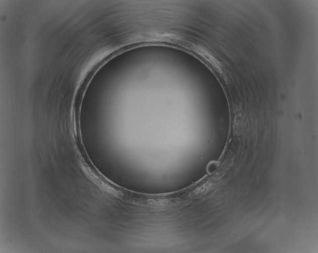 X0000073861080200608170936