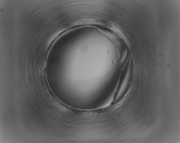 X0000073861081200608170936