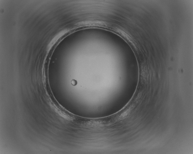 X0000073861082200608170936