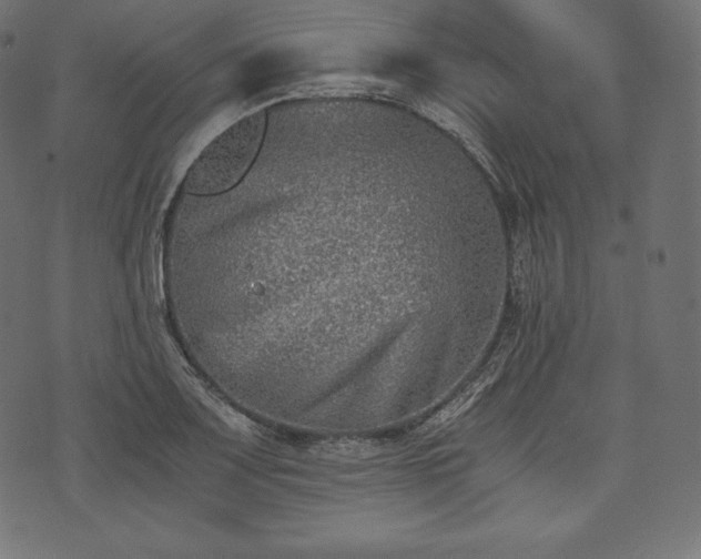 X0000073861083200608170936