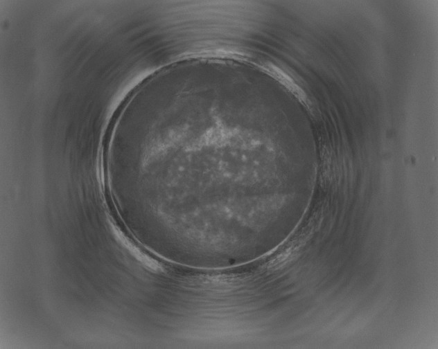 X0000073861084200608170936