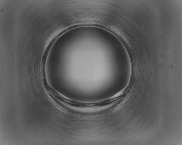 X0000073861085200608170936