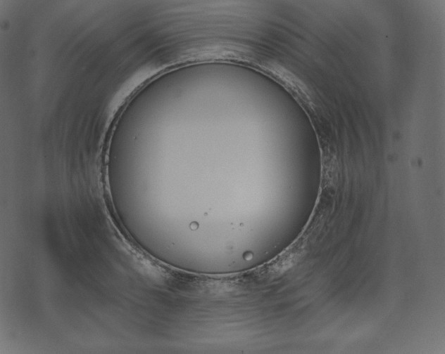 X0000073861086200608170936