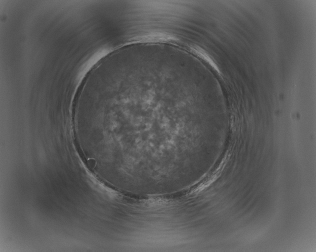 X0000073861087200608170936