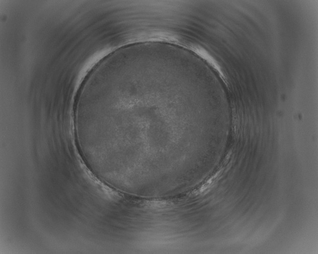 X0000073861088200608170936