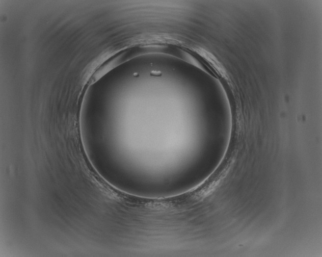 X0000073861089200608170936