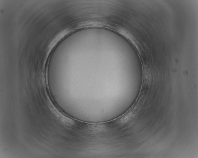 X0000073861090200608170936