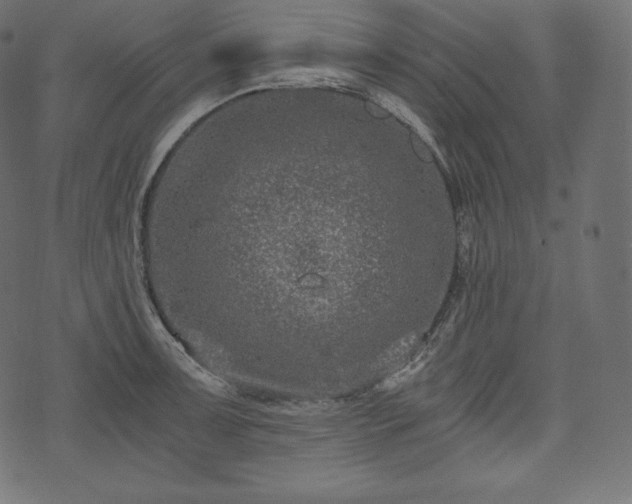 X0000073861091200608170936