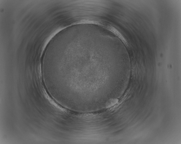 X0000073861092200608170936