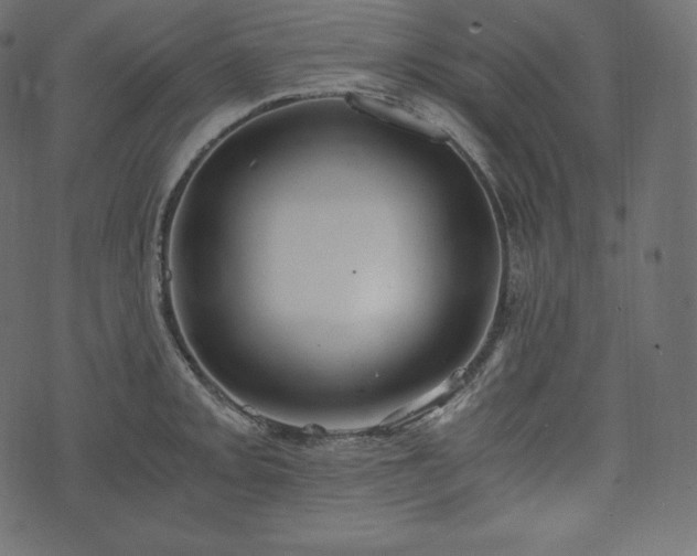 X0000073861093200608170936