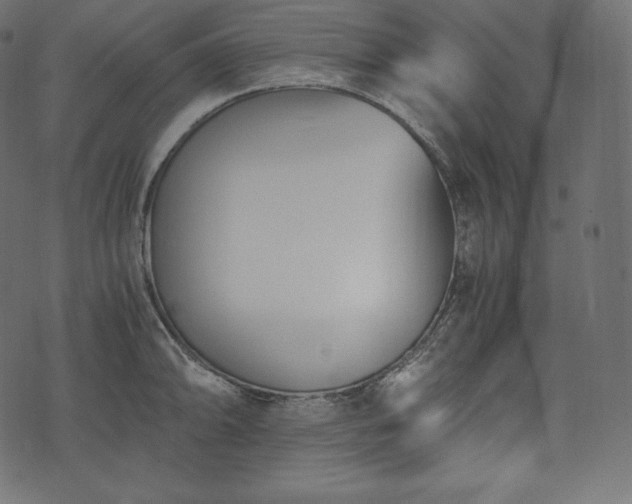 X0000073861094200608170936