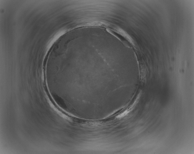 X0000073861095200608170936