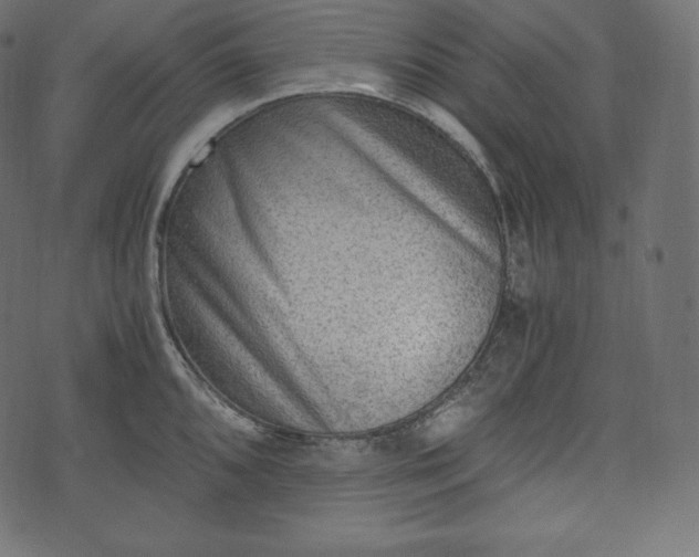 X0000073861096200608170936