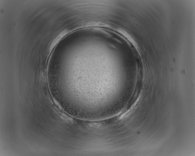 X0000073861097200608170936