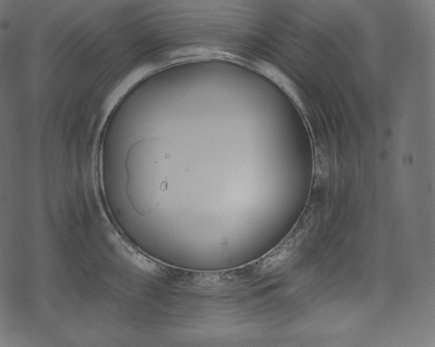 X0000073861098200608170936