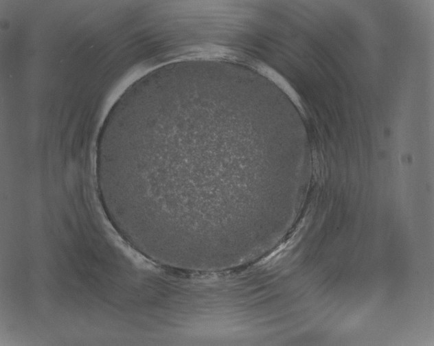 X0000073861099200608170936