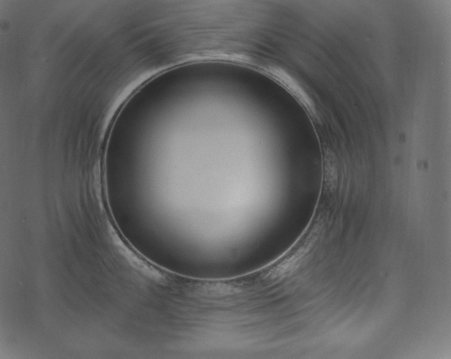 X0000073861100200608170936