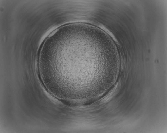 X0000073861101200608170936