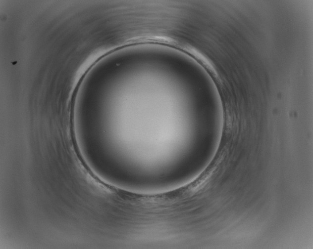 X0000073861102200608170936