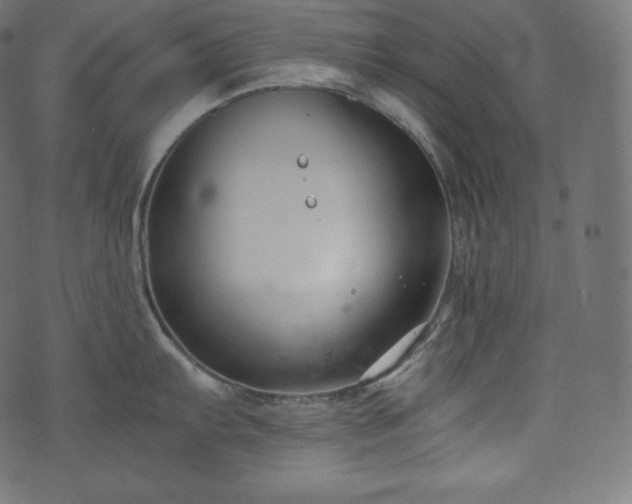 X0000073861103200608170936