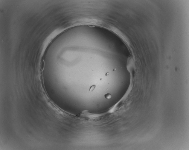 X0000073861104200608170936