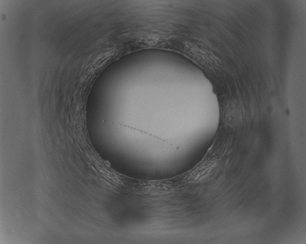 X0000073861105200608170935