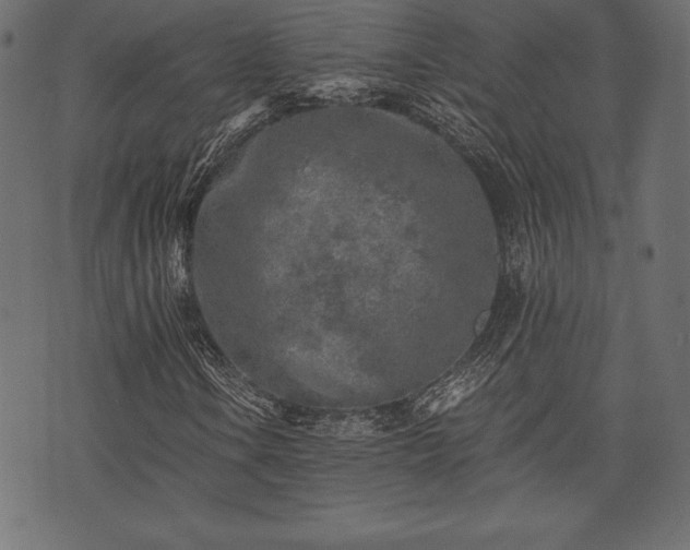 X0000073861106200608170935