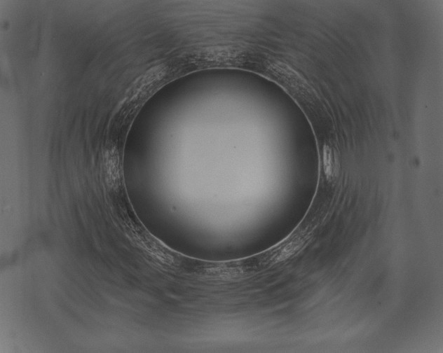 X0000073861107200608170935