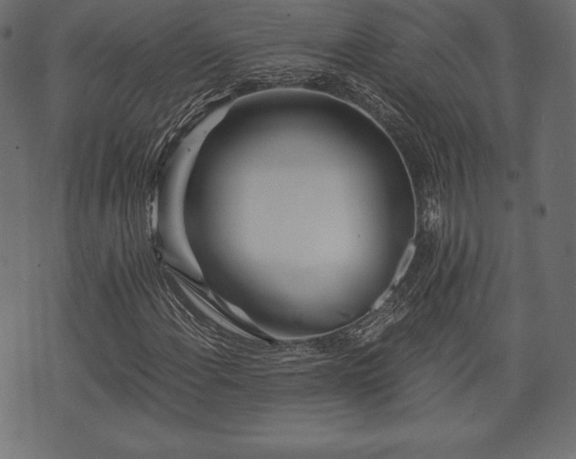 X0000073861108200608170935