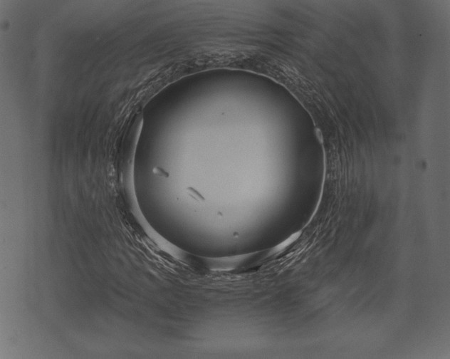 X0000073861109200608170935