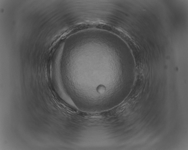 X0000073861110200608170935