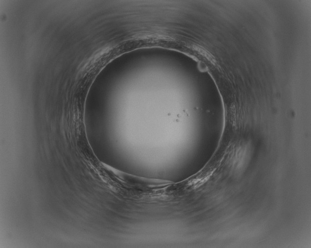 X0000073861111200608170935