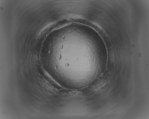 X0000073861112200608170935