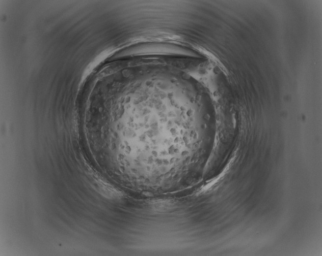 X0000073861114200608170935