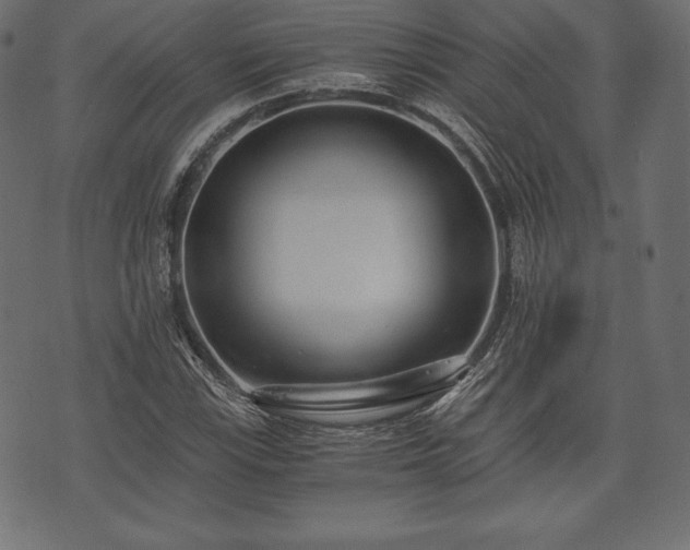 X0000073861115200608170935