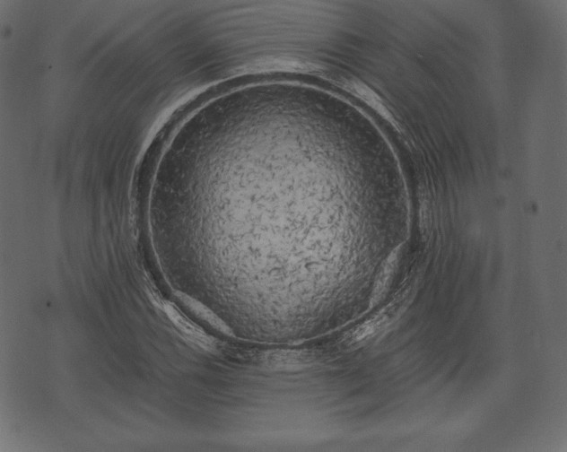 X0000073861116200608170935