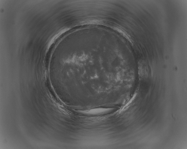 X0000073861117200608170935