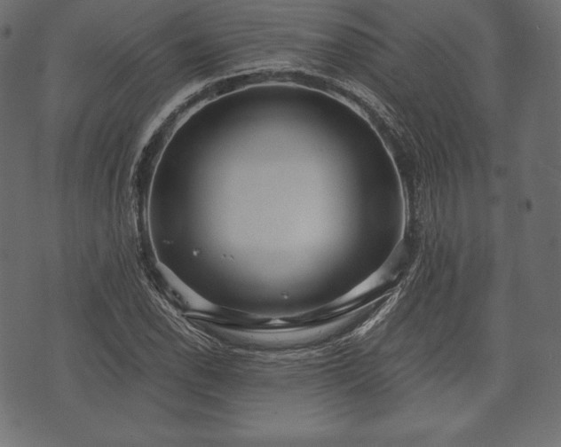 X0000073861118200608170935