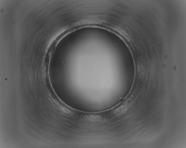 X0000073861119200608170935